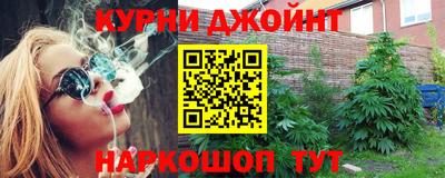 тгк Бердск