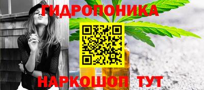 тгк Бердск