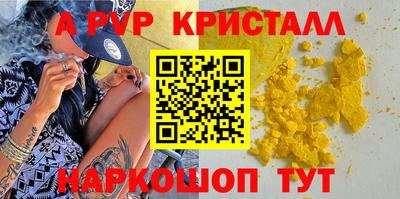 тгк Бердск