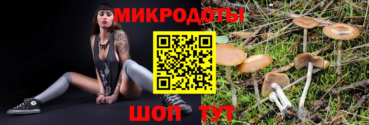 Галлюциногенные грибы мухоморы  Вход с VPN  Ессентуки  Галлюциногенные грибы MAGIC MUSHROOMS 