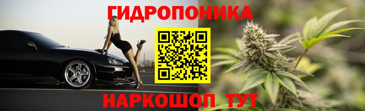 Конопля SATIVA & INDICA Ессентуки
