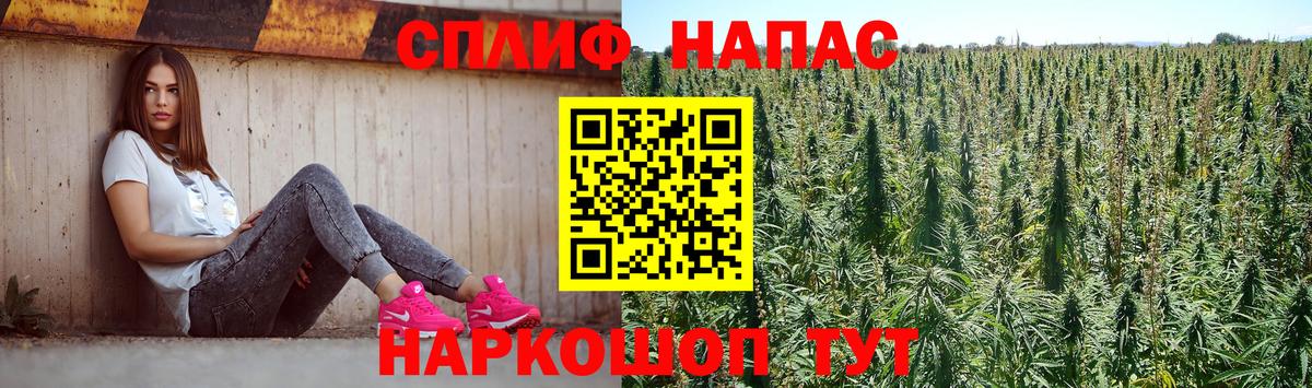 Ессентуки  Марихуана сатива  МАРИХУАНА план  Бошки марихуана Bruce Banner  Вход с VPN 